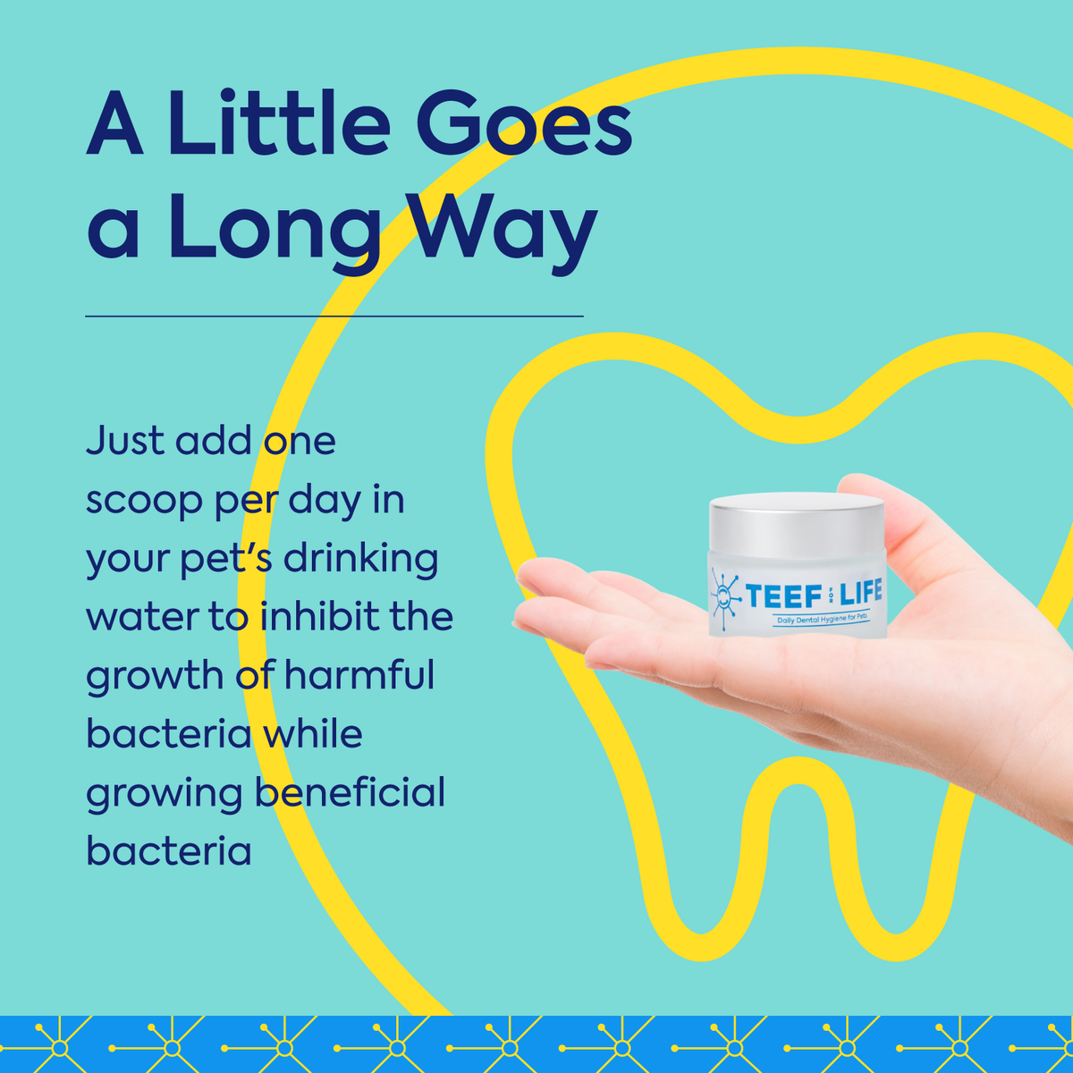 Teef for Life Protektin 42K Sodium-free dog and cat breath freshener water additive powder for sensitive pets needing gentle dental care.