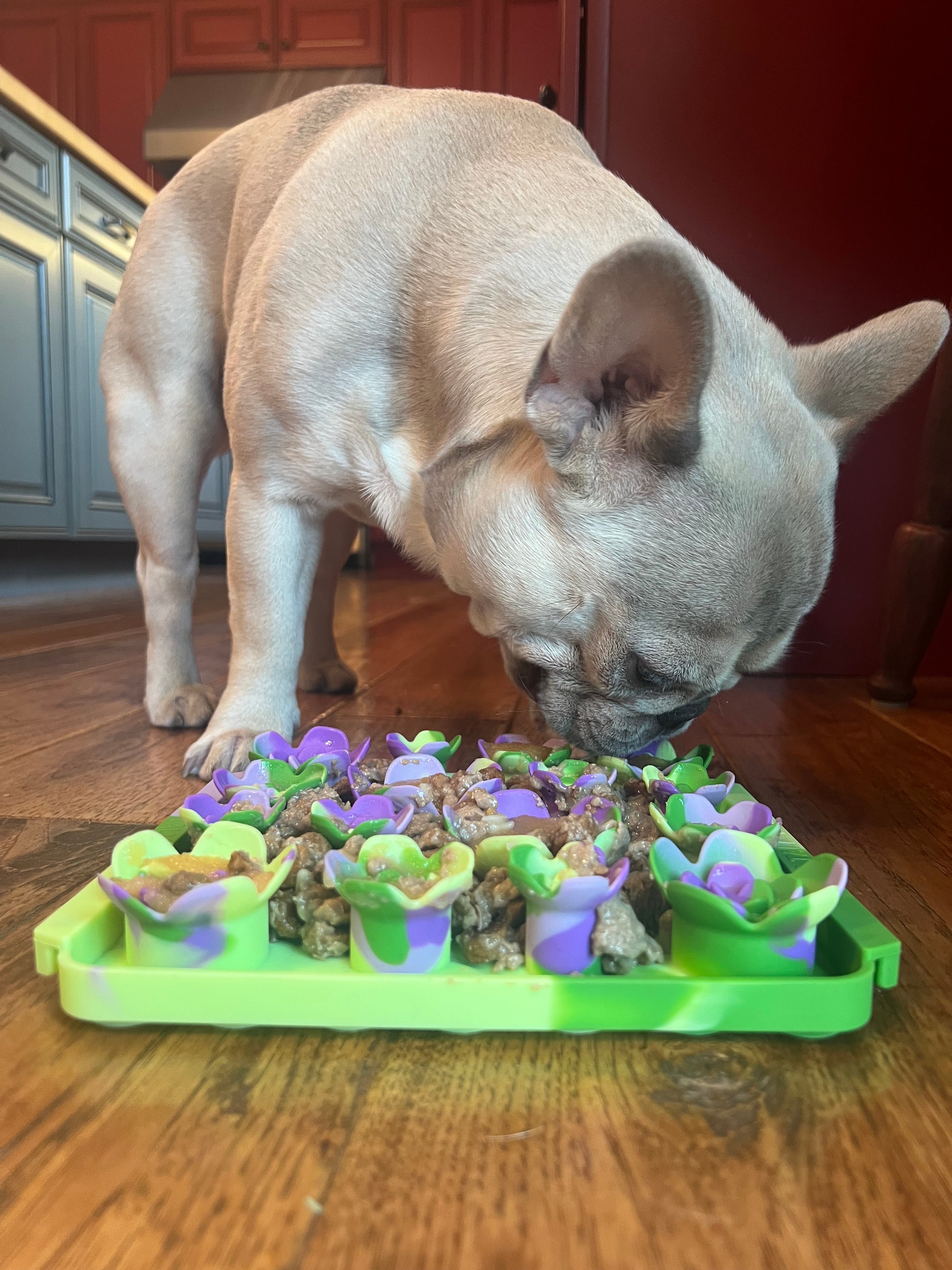 Interactive Food-Grade Foraging Mat for Dogs, Succulent