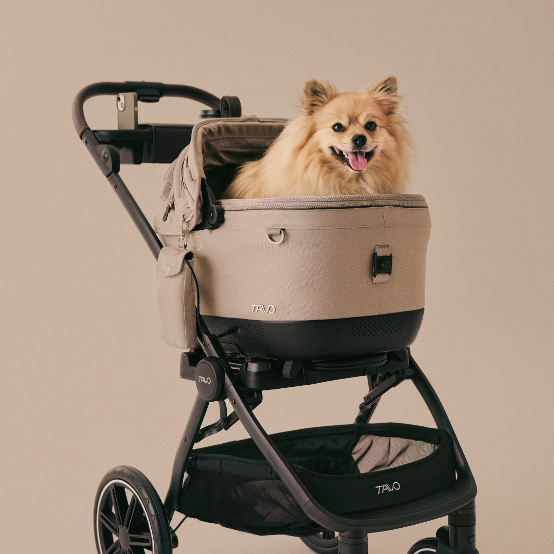 Tavo Pets Carrier and Safety Car Seat, Maeve ISO Wind in Fawn