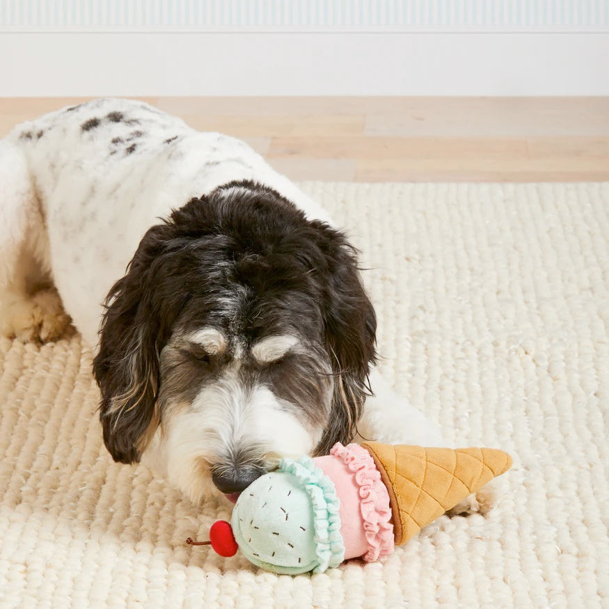 Squeaky Plush Interactive Snuffle Dog toys, Ice Cream