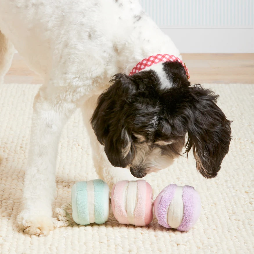 Squeaky Plush Interactive Snuffle Dog toys, Macarons