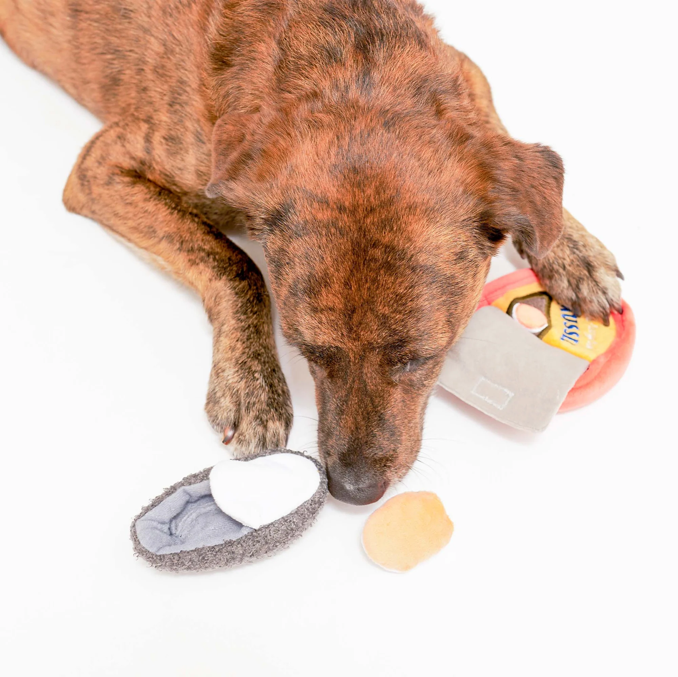 Interactive Nosework Dog Toy, Tinned Mussel