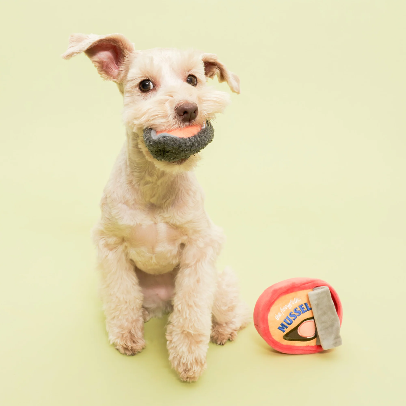 Interactive Nosework Dog Toy, Tinned Mussel