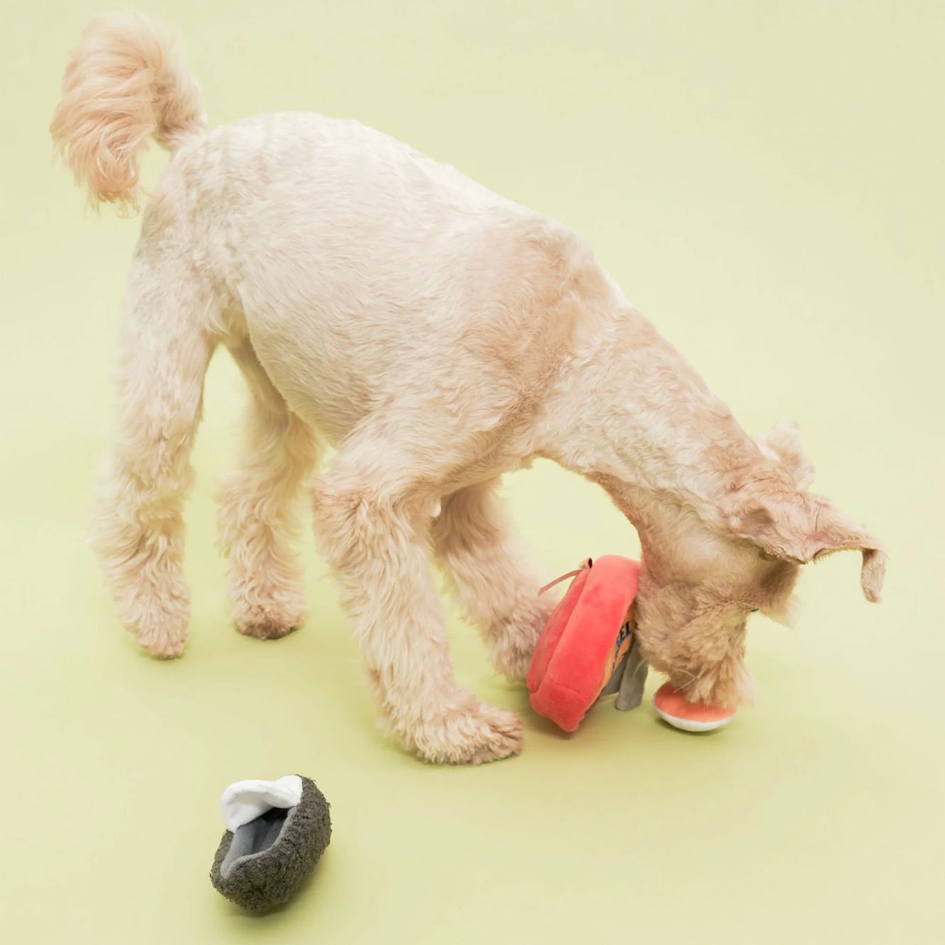 Interactive Nosework Dog Toy, Tinned Mussel