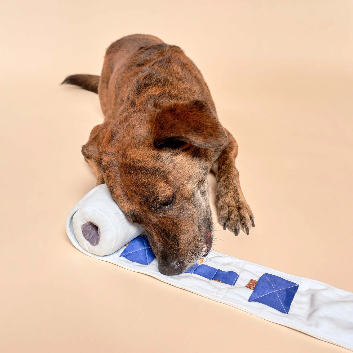 Interactive Nosework Dog Toy, Toilet Paper