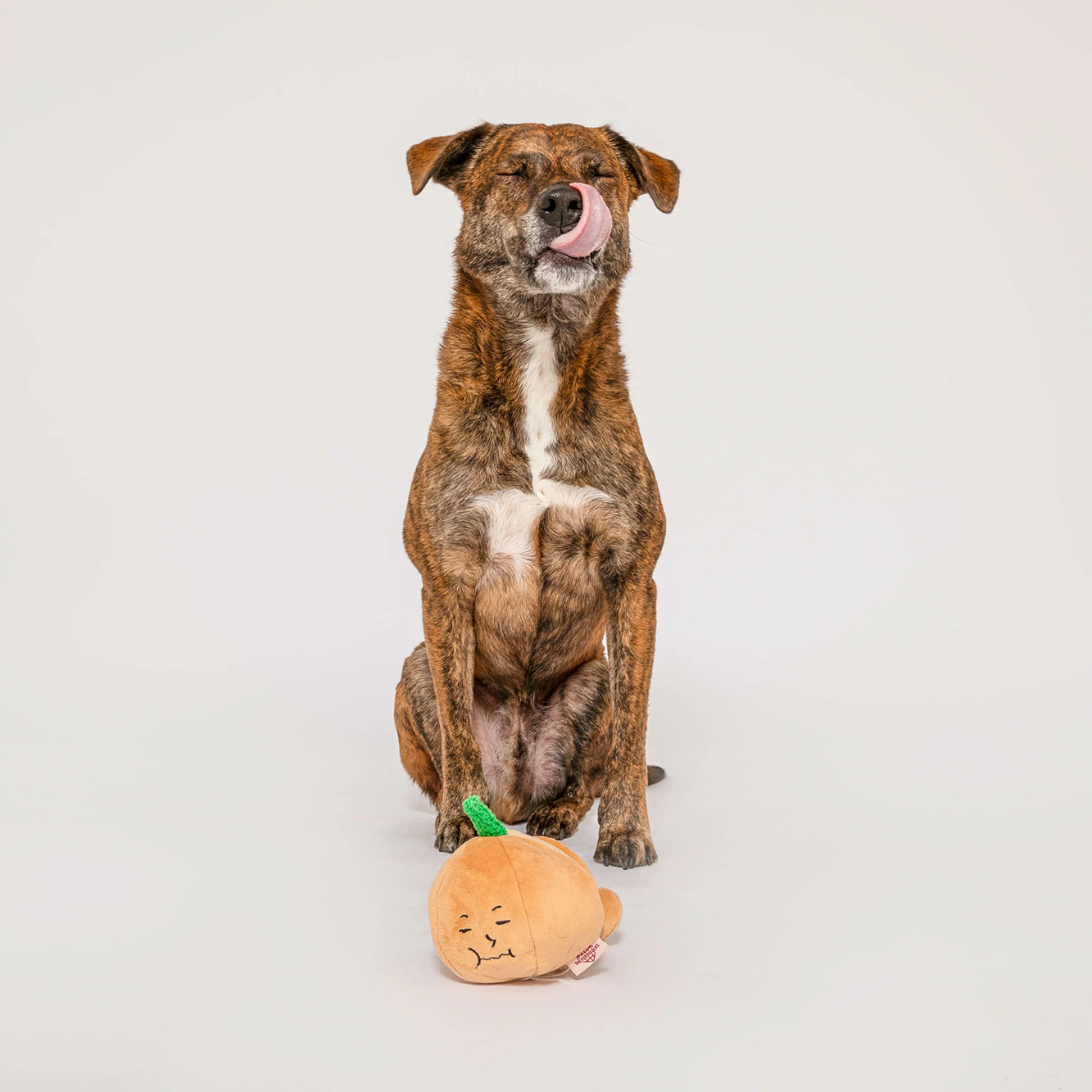 Interactive Nosework Dog Toy, Yellow Onion