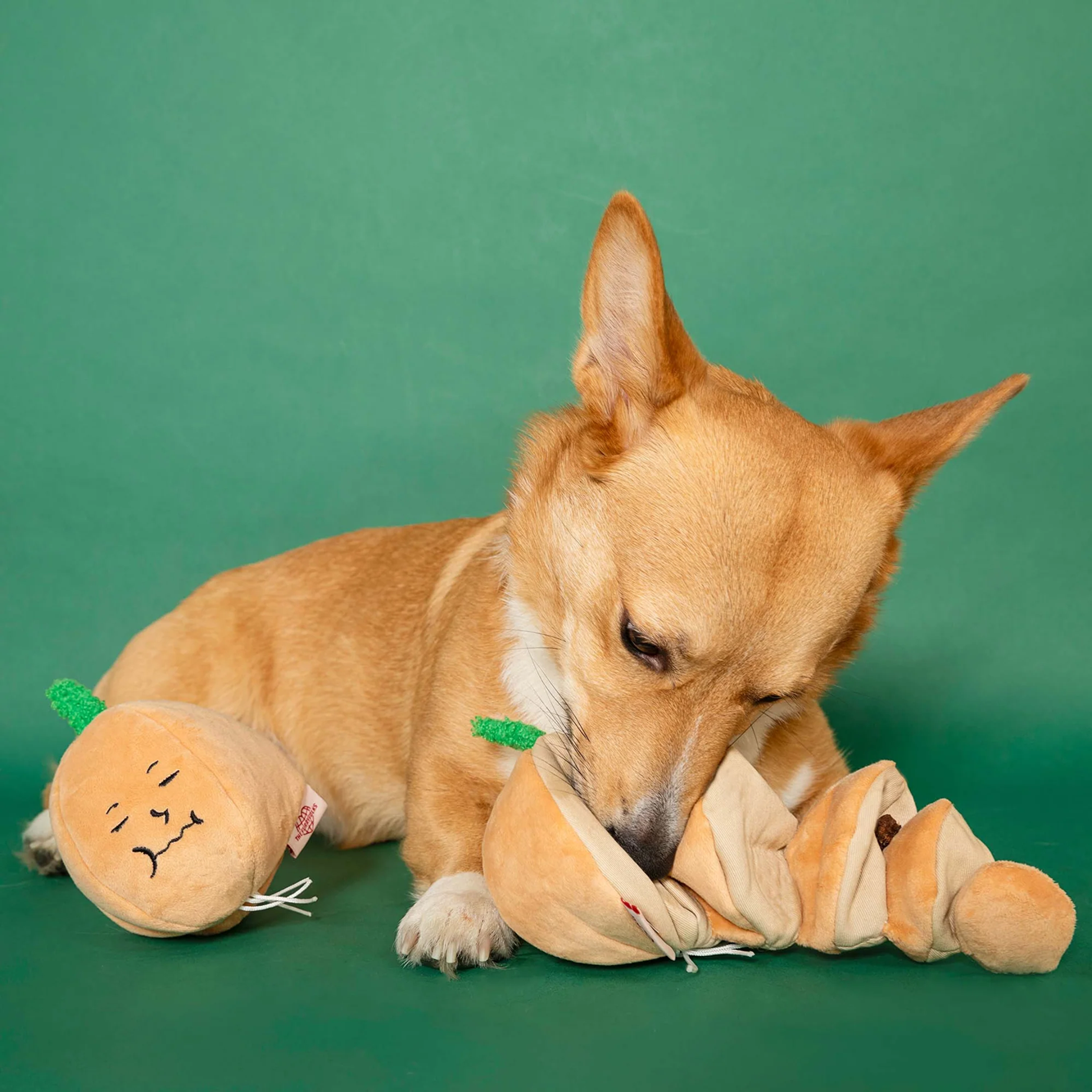 Interactive Nosework Dog Toy, Yellow Onion