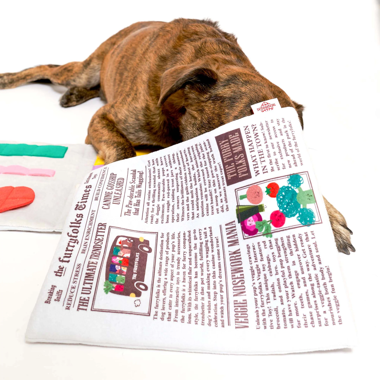 Squeaky Interactive Nosework Dog Toy, Newspaper