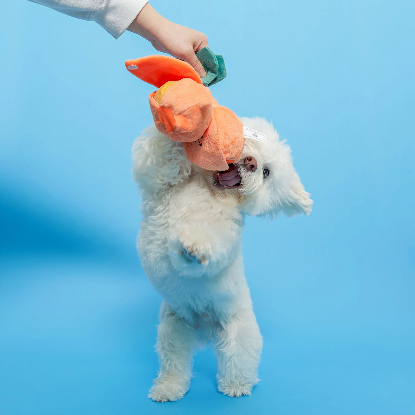 Squeaky Interactive Nosework Dog Toy, Orange