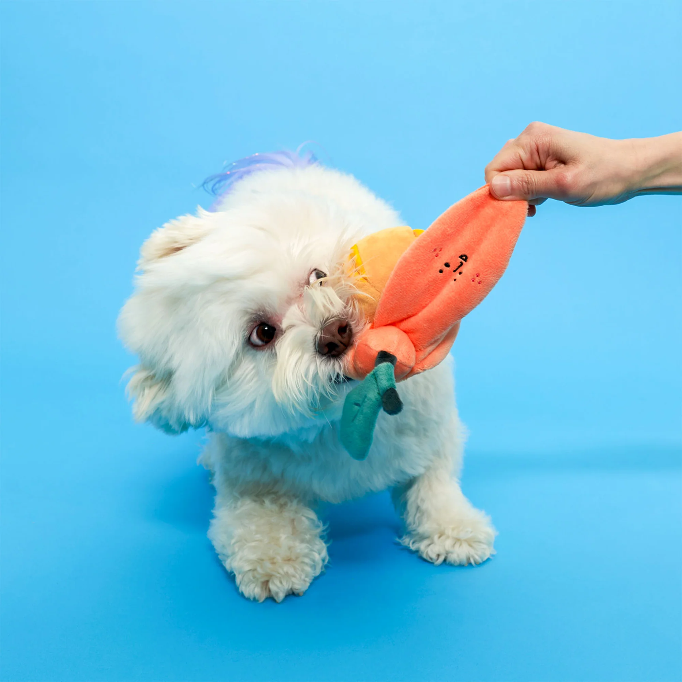 Squeaky Interactive Nosework Dog Toy, Orange