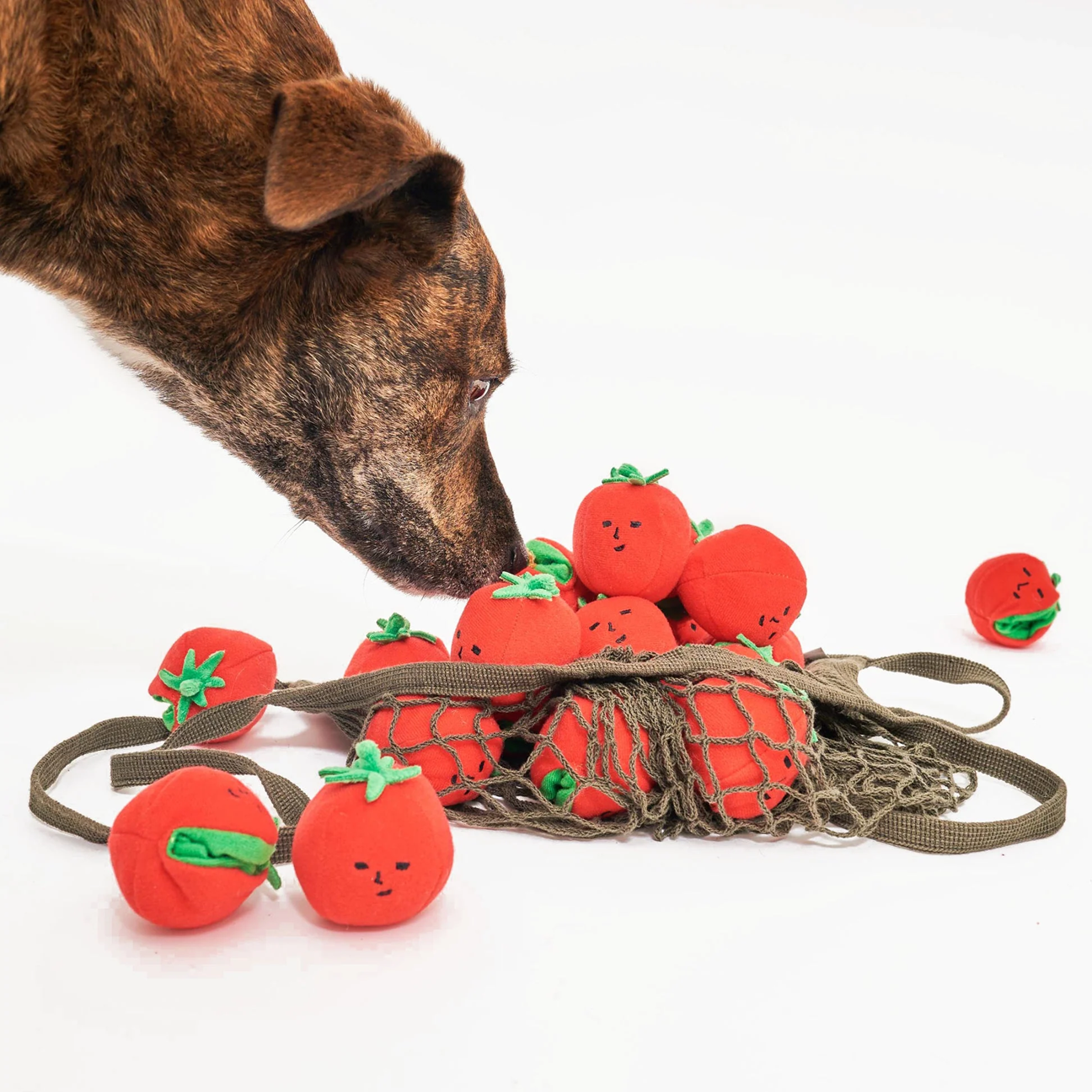 Squeaky Interactive Nosework Rope Pull Dog Toy, Cherry Tomato