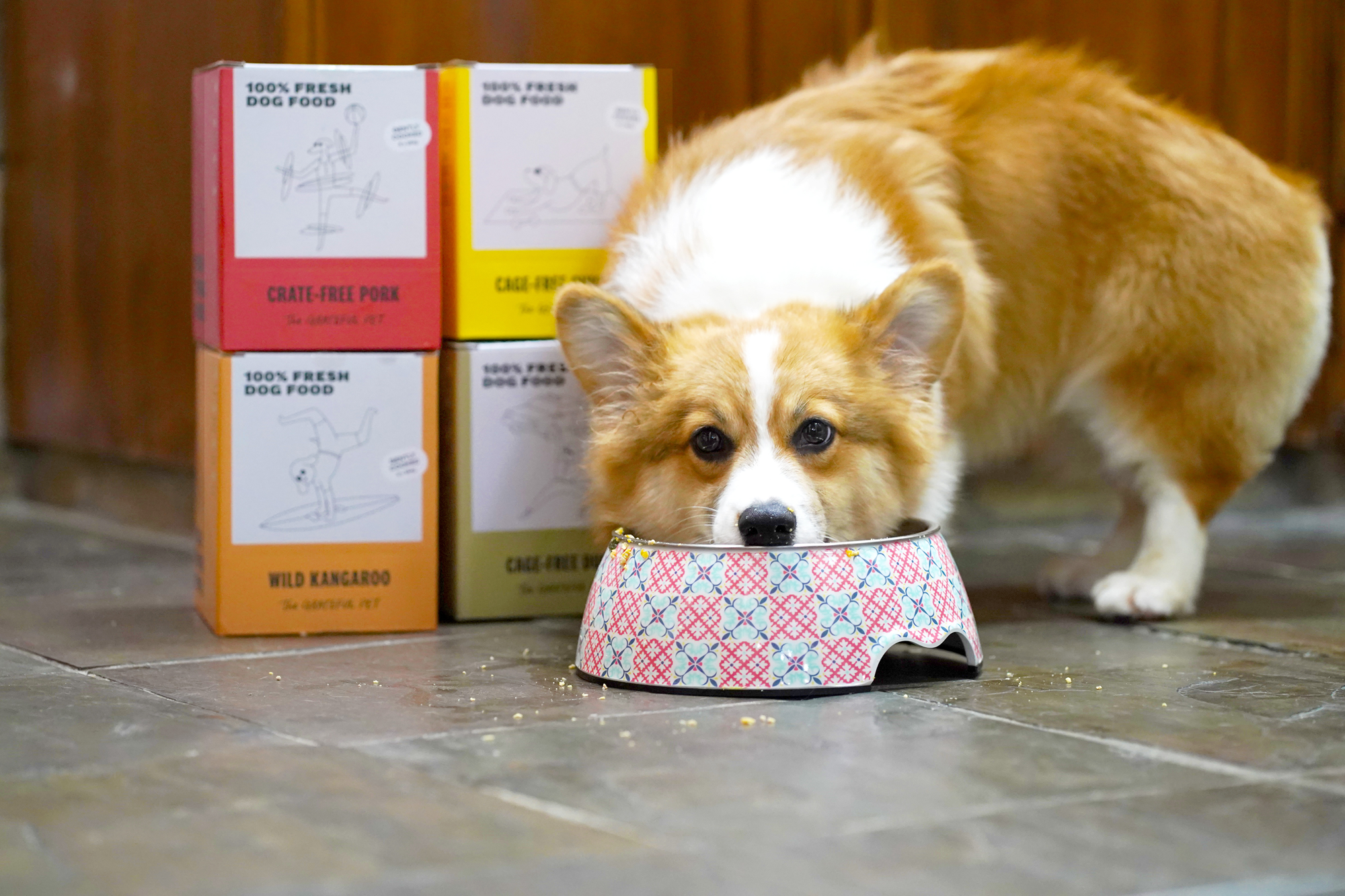 The Grateful Pet: Cooked Food for Dogs, Cage-free Duck