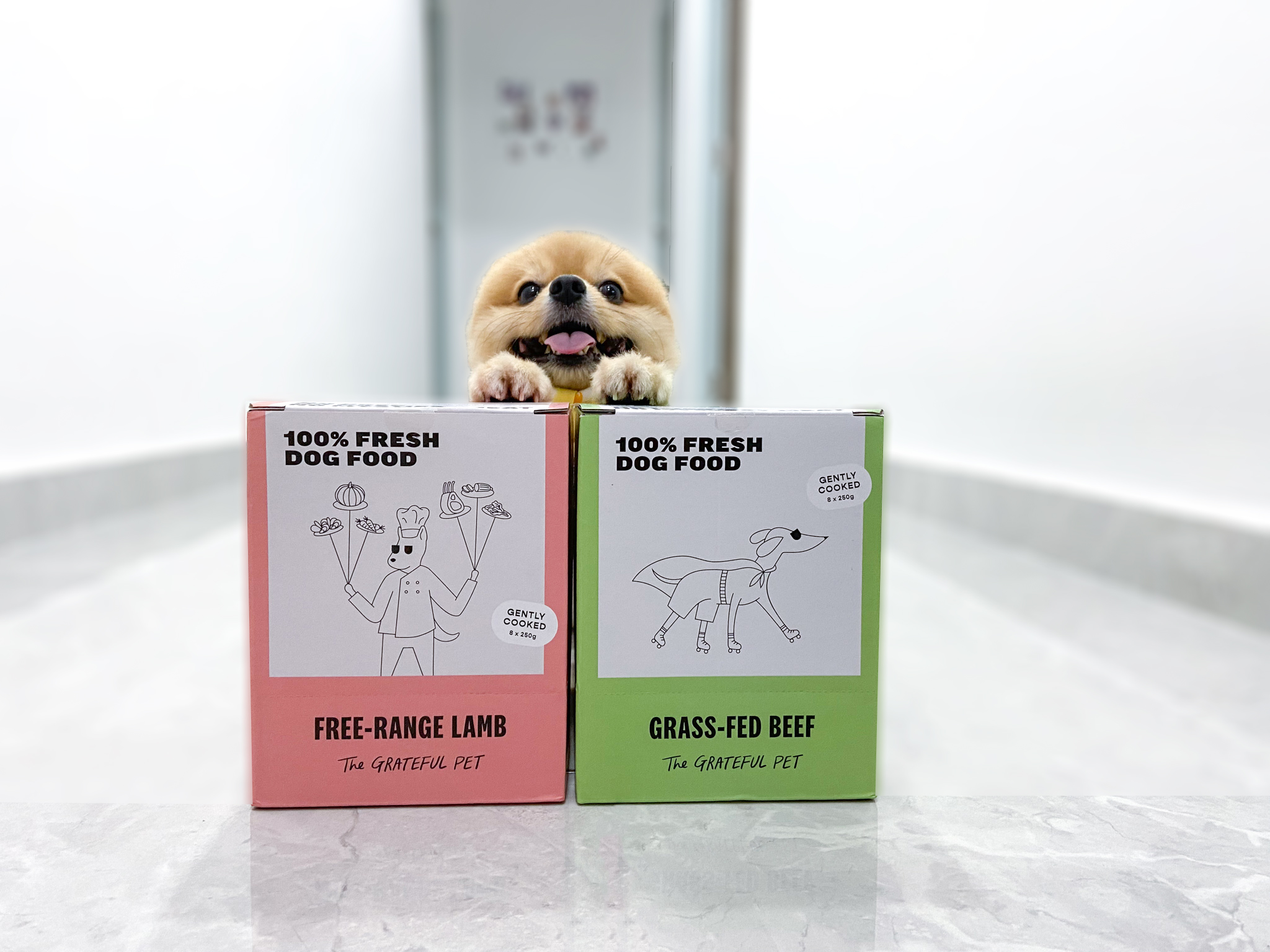 The Grateful Pet: Cooked Food for Dogs, Free-range Lamb