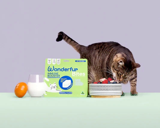 Wonderfur Bites Treats for Cats, Immune Booster