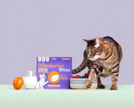 Wonderfur Bites Treats for Cats, Senior Support