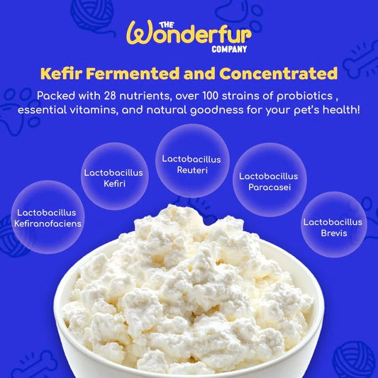 Wonderfur Bites Treats for Dogs, Immune Booster