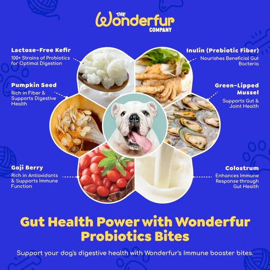 Wonderfur Bites Treats for Dogs, Immune Booster