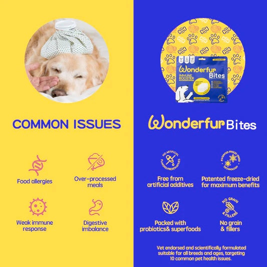 Wonderfur Bites Treats for Dogs, Immune Booster