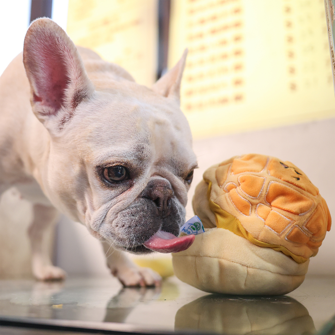 Woof² Buttered Pineapple Bun, Nosework Interactive Plush Dog Toy
