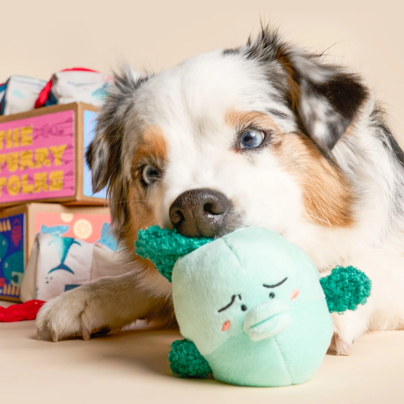 The Furryfolks Interactive Squeaky Dog Toy | Fish Express Nosework Puzzle