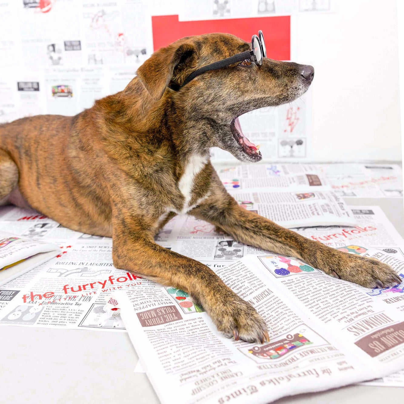 Squeaky newspaper-shaped soft toy for dogs, designed for interactive sniffing and treat hunting.