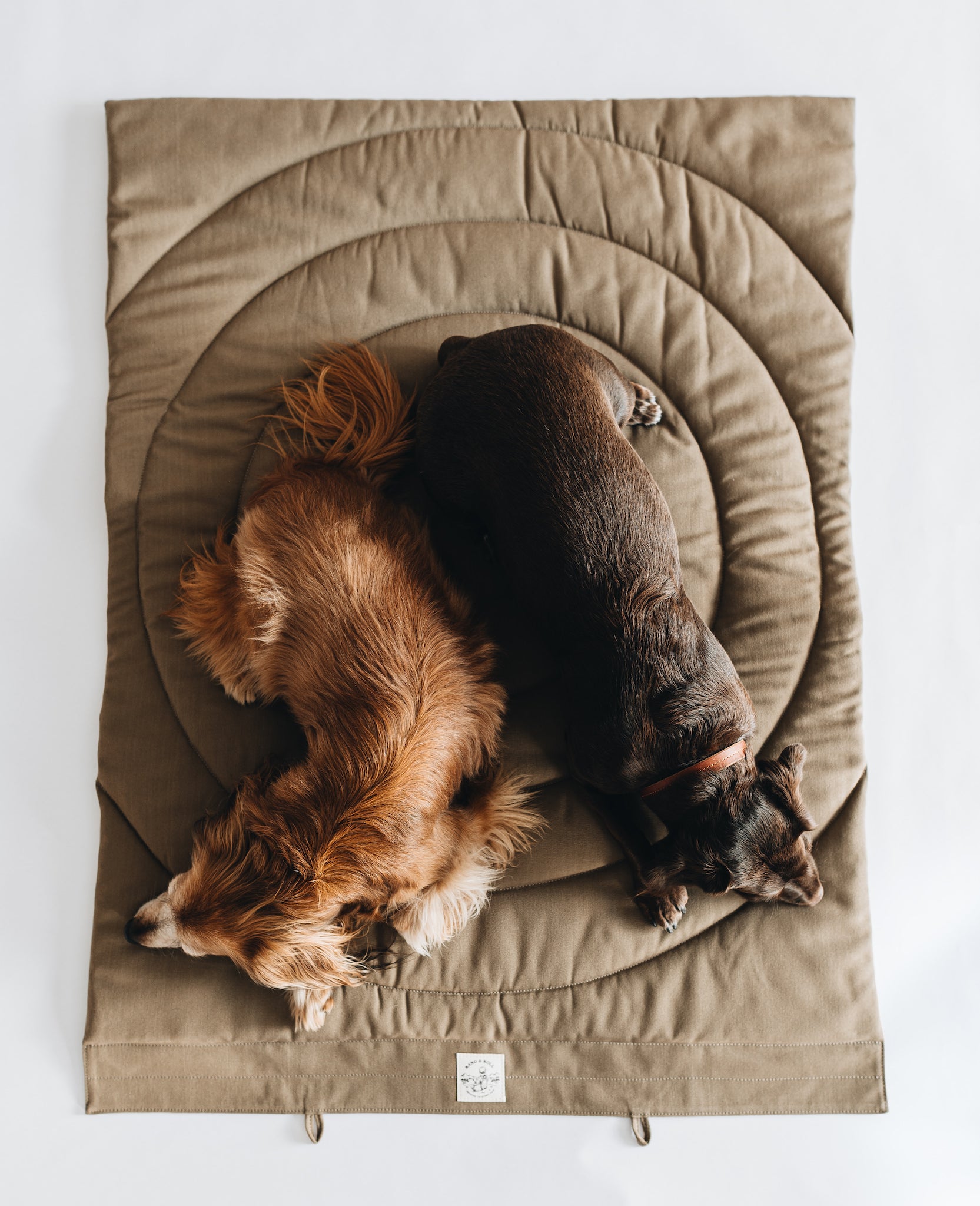 Compass Travel Dog Blanket