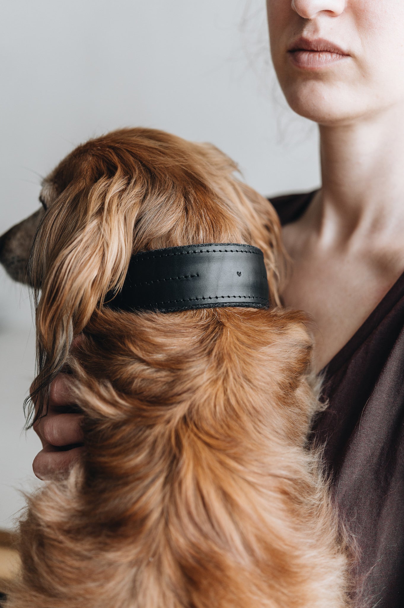 Pine Leather Dog Collar