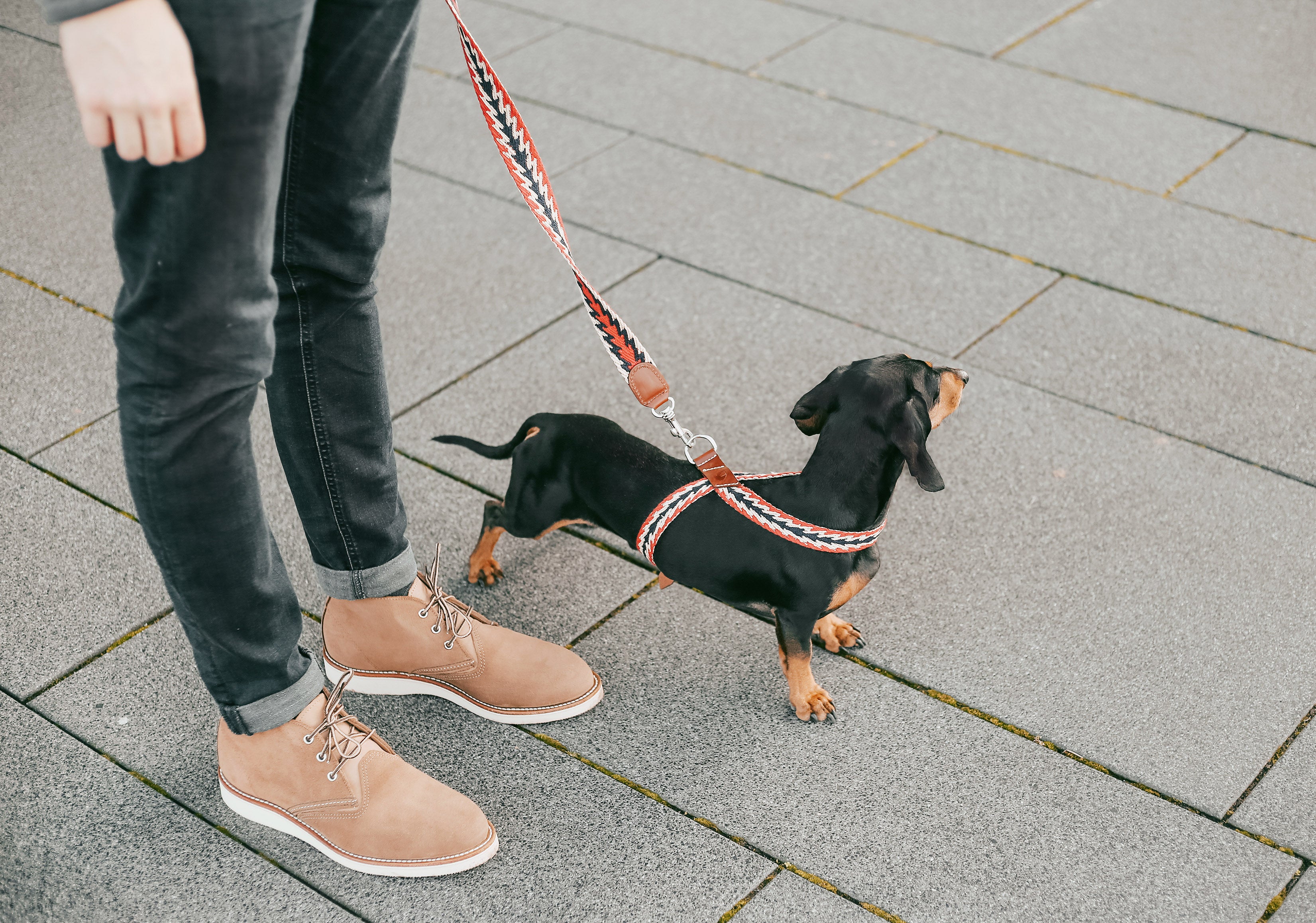 Dog Harness: Peruvian Arrow Red