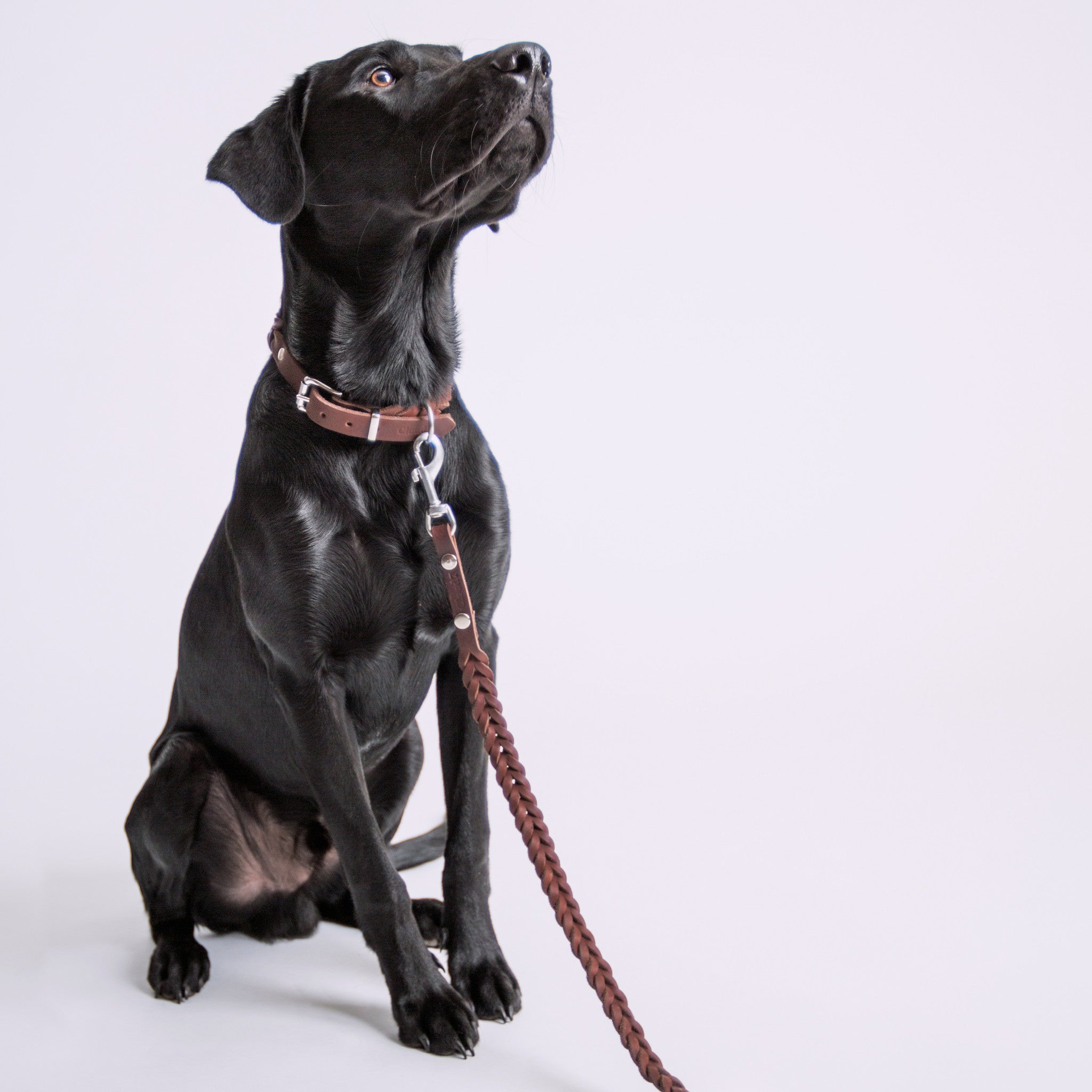 Cloud7: Central Park Saddle Brown Leather Dog Leash