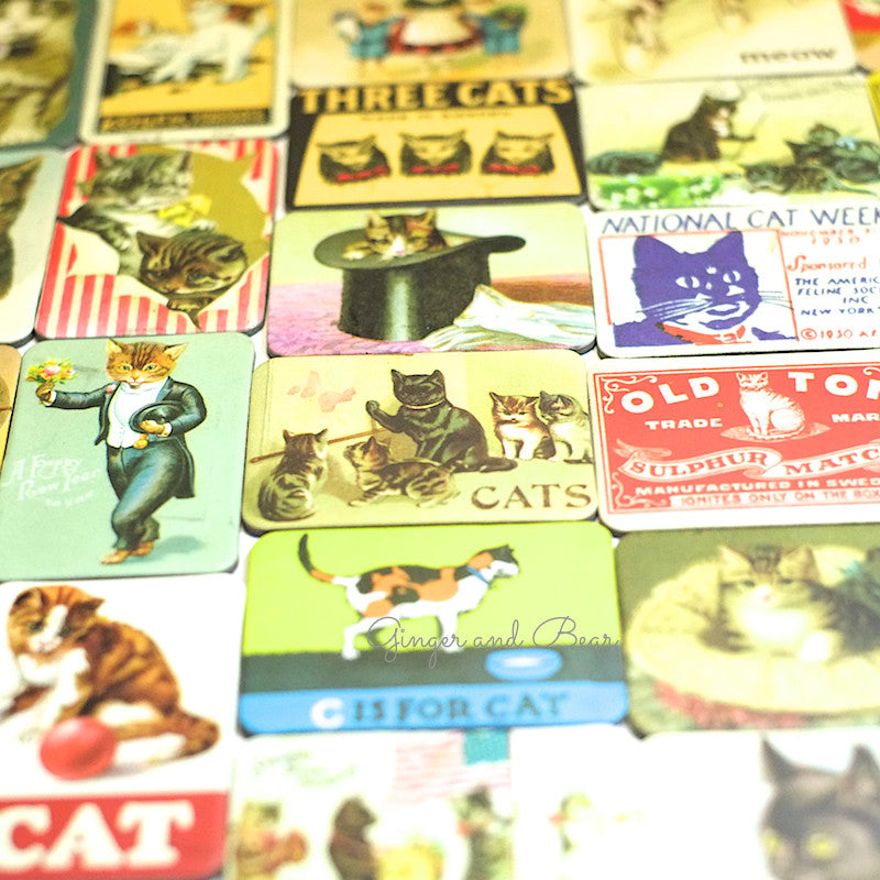 Stationery: Cavallini Vintage Cats Magnets