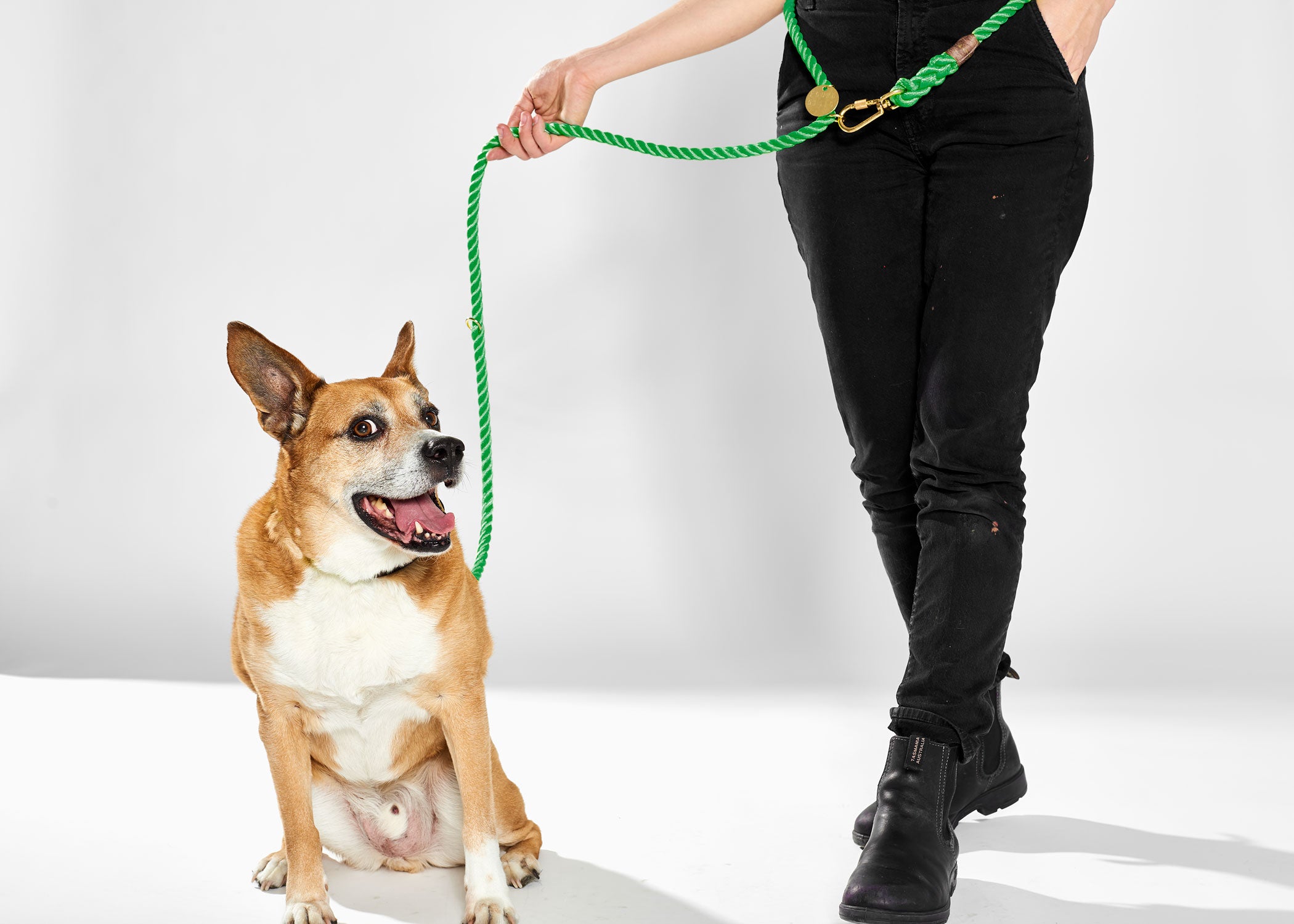 Found My Animal Nylon Rope leash Miami Green for Dogs