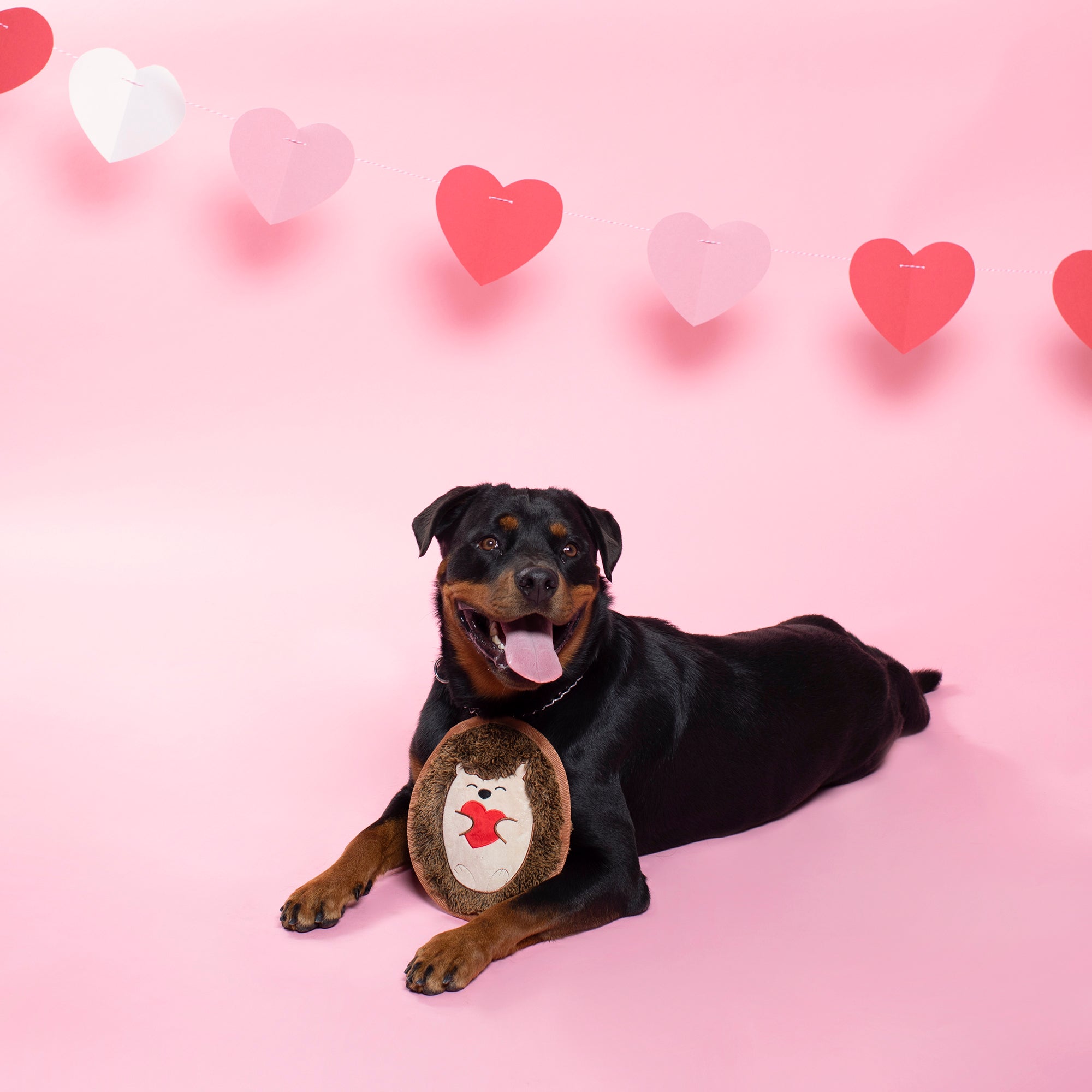 UnStuffed Stuck On Love Hedgehog, Dog Squeaky Plush toy
