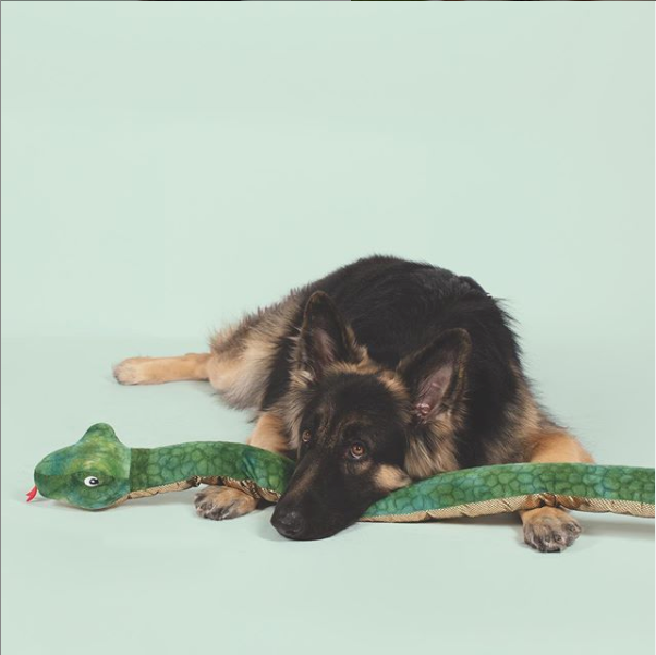 Slither the Snake, Squeaky Plush Dog toy (Large)