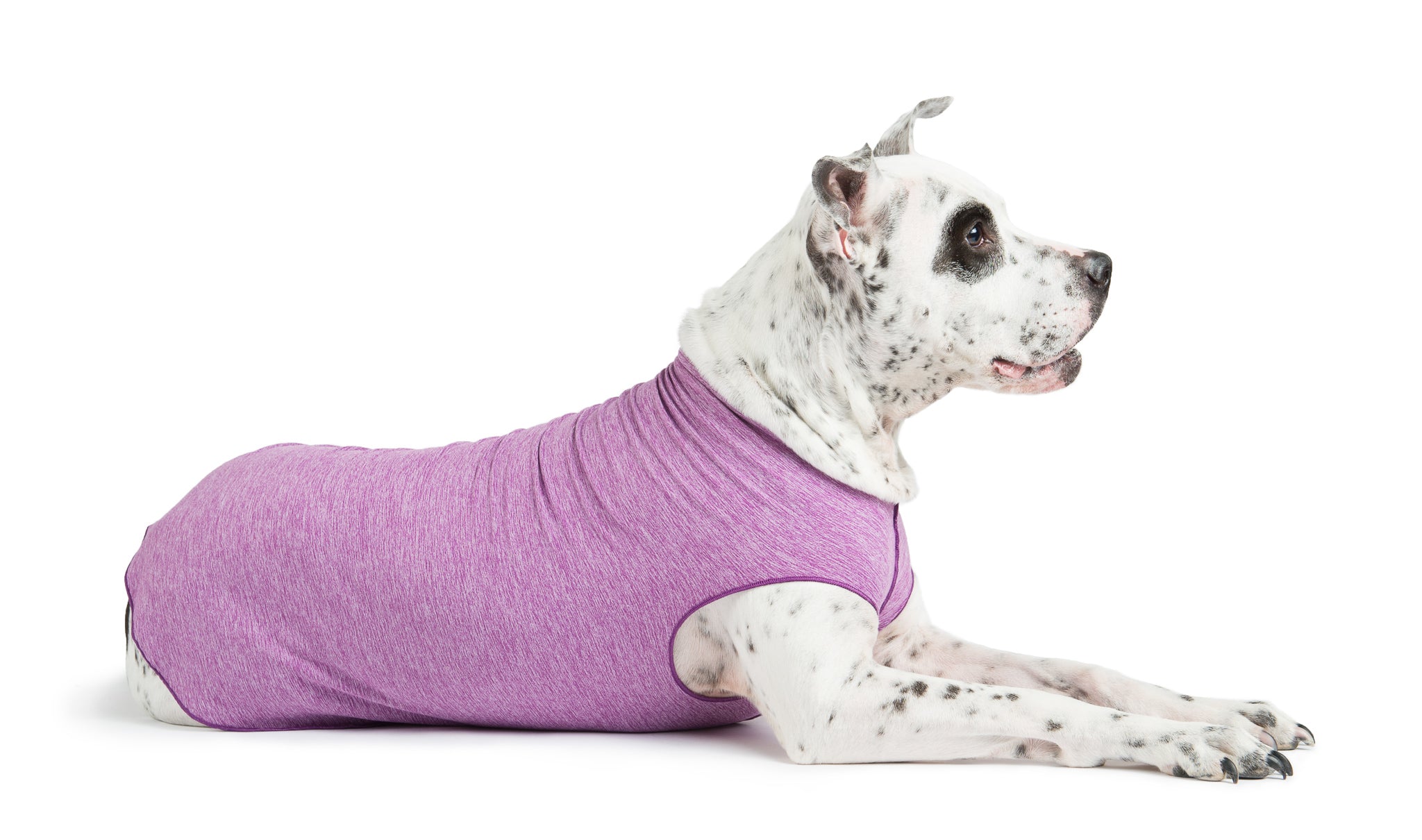 Sun Shield Tee shirts for Dogs and Cats, in Violet Heather