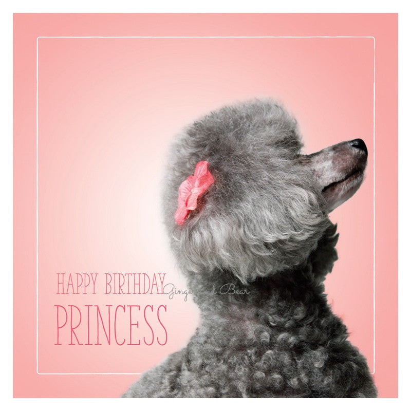 Happy Birthday: Ashley's Happy Birthday Princess