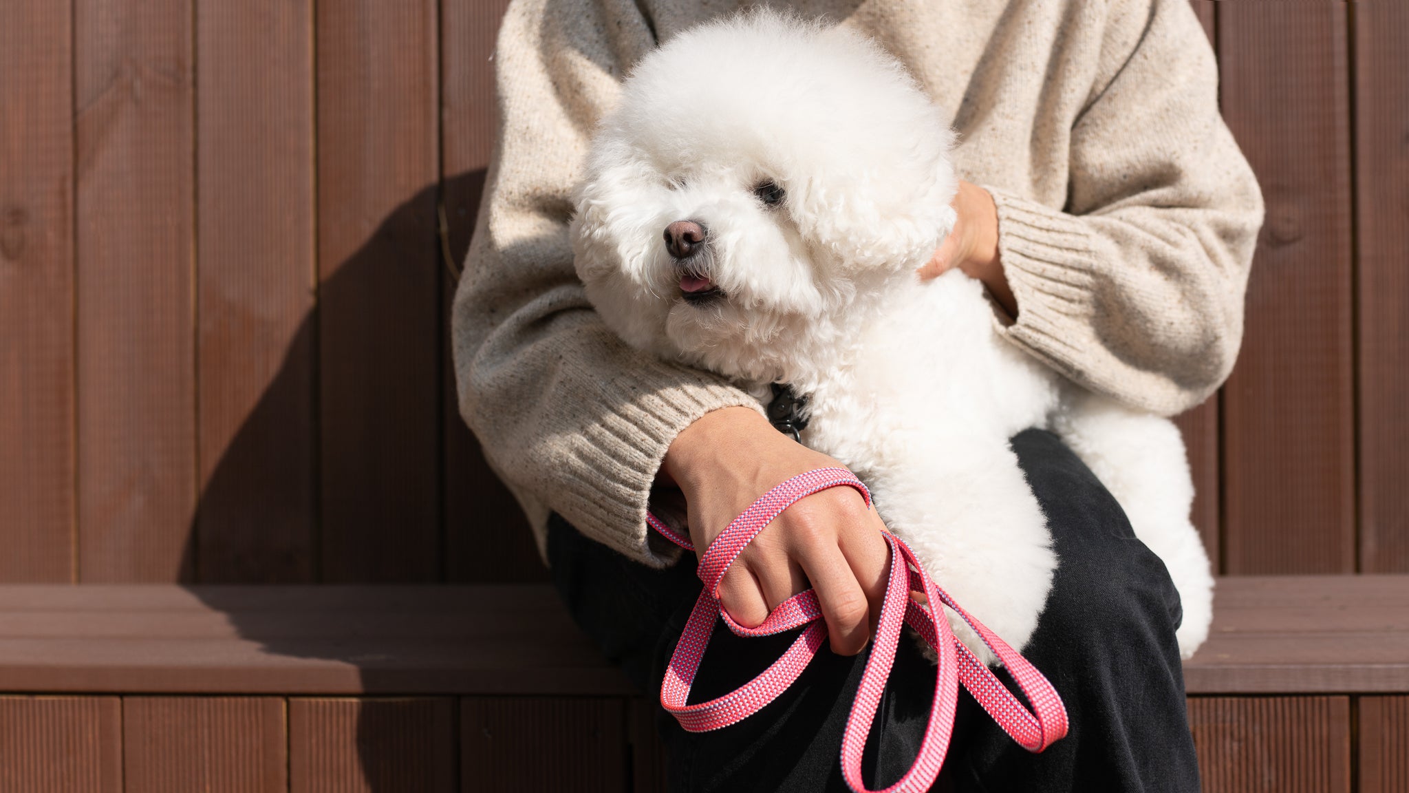 We are Tight: Ribbon Dog Collar, Flamingo