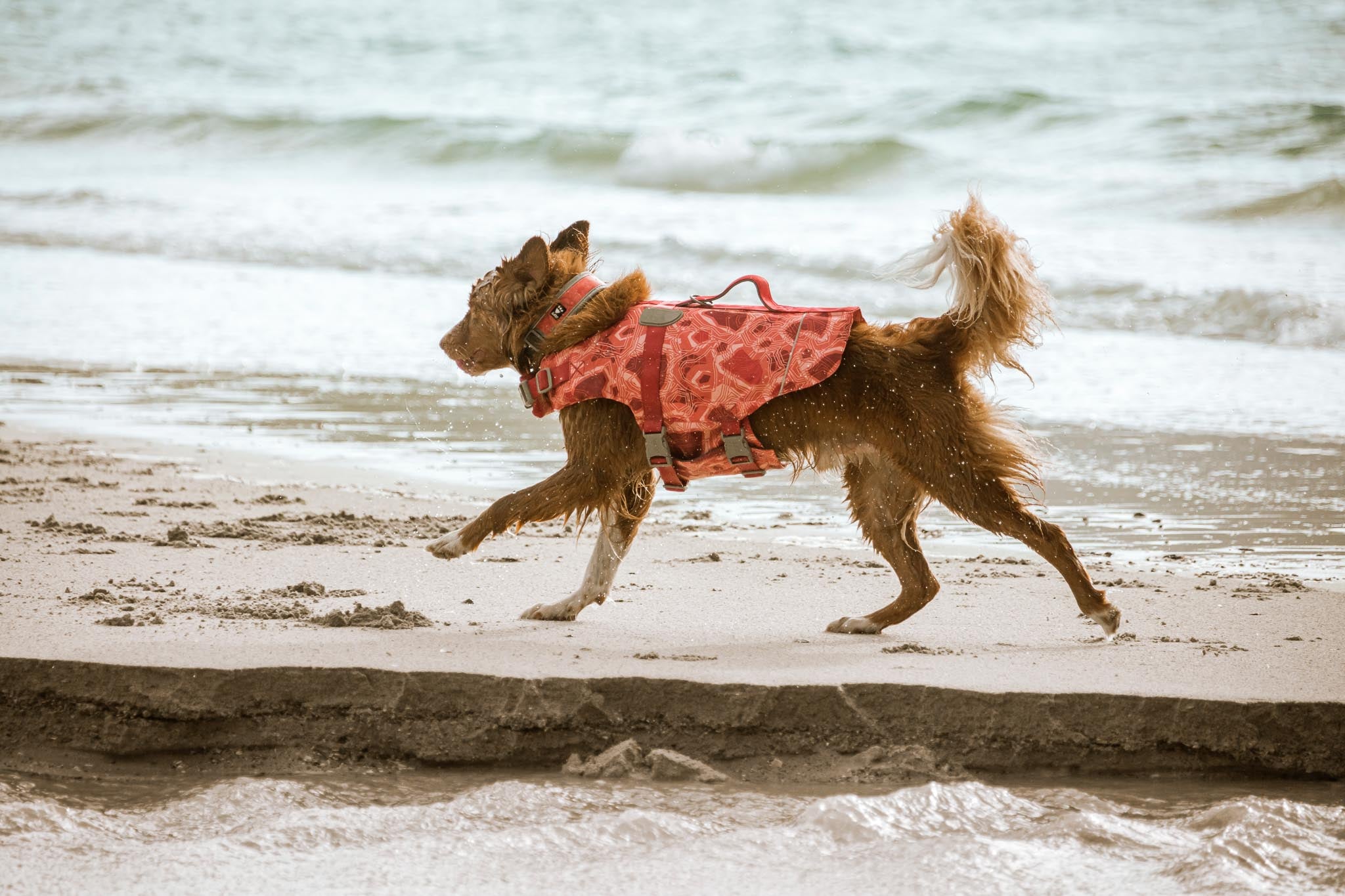 Hurtta Dog Swim Coat: Life Saviour Eco