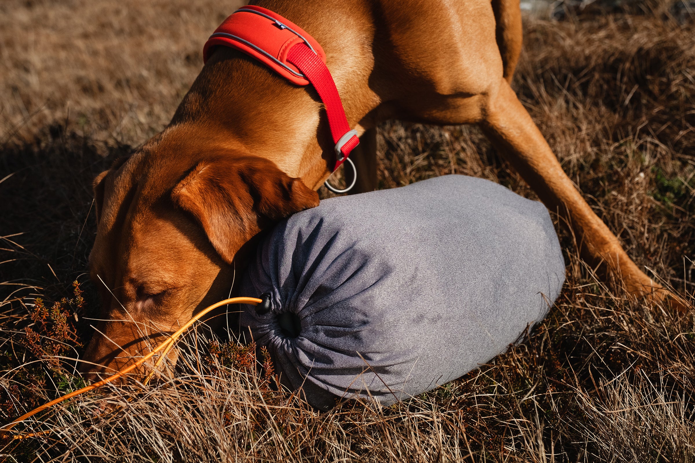 Hurtta Outdoor Dog Sleeping Bag: Outback Dreamer Eco