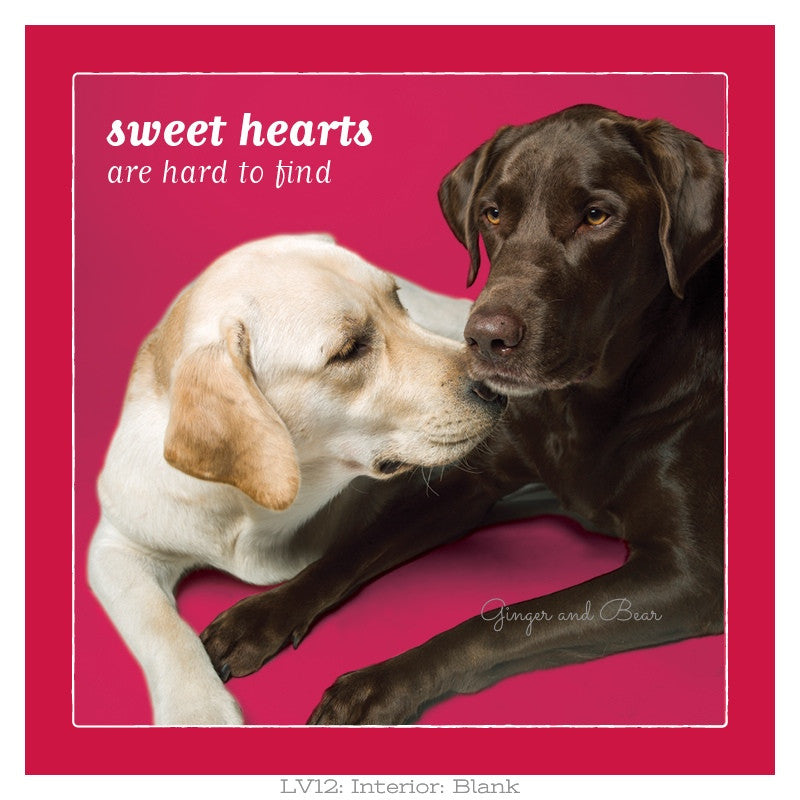 Love: Lab Sweet Hearts