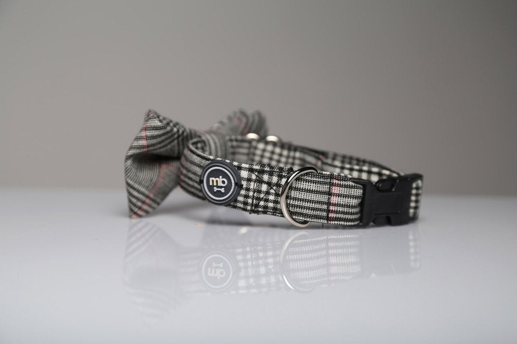 MaxBone Ethan Dog Bow Tie