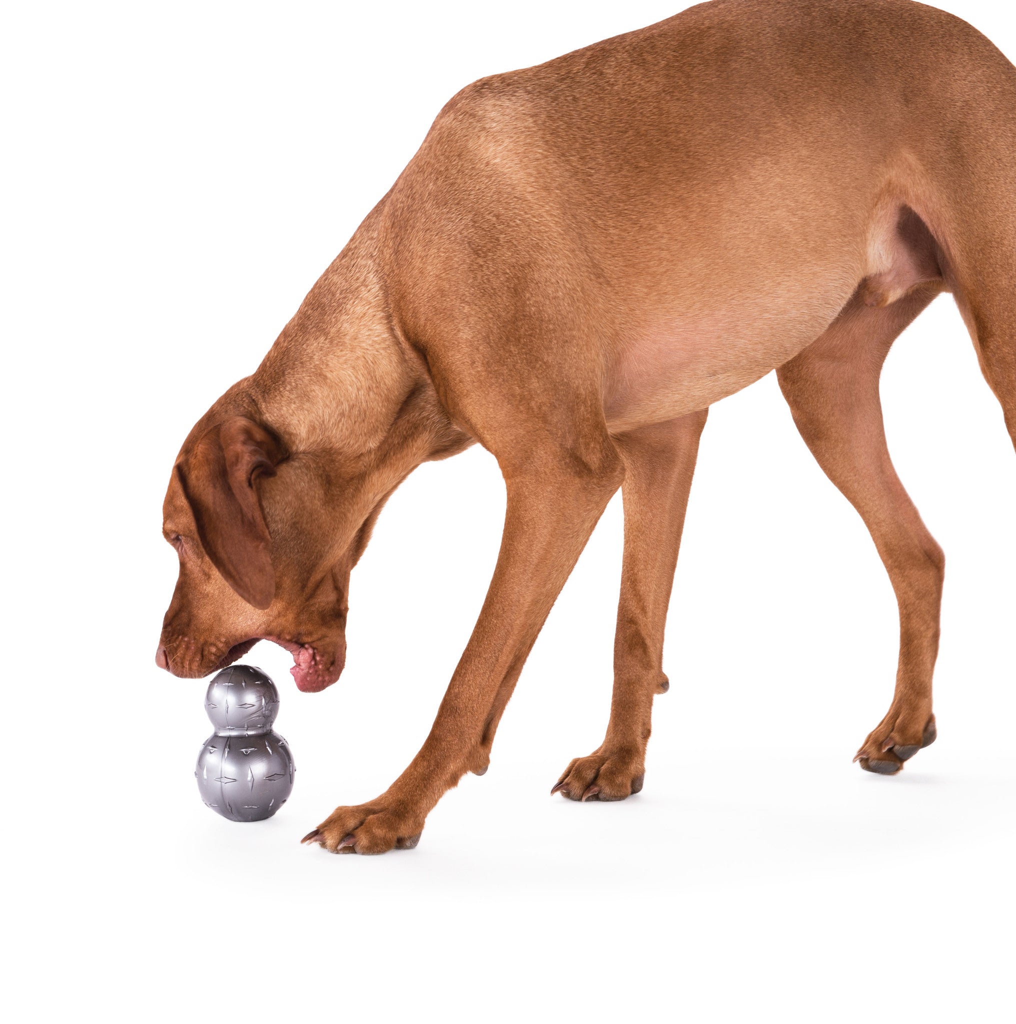 Dog Toy: Diamond Plate