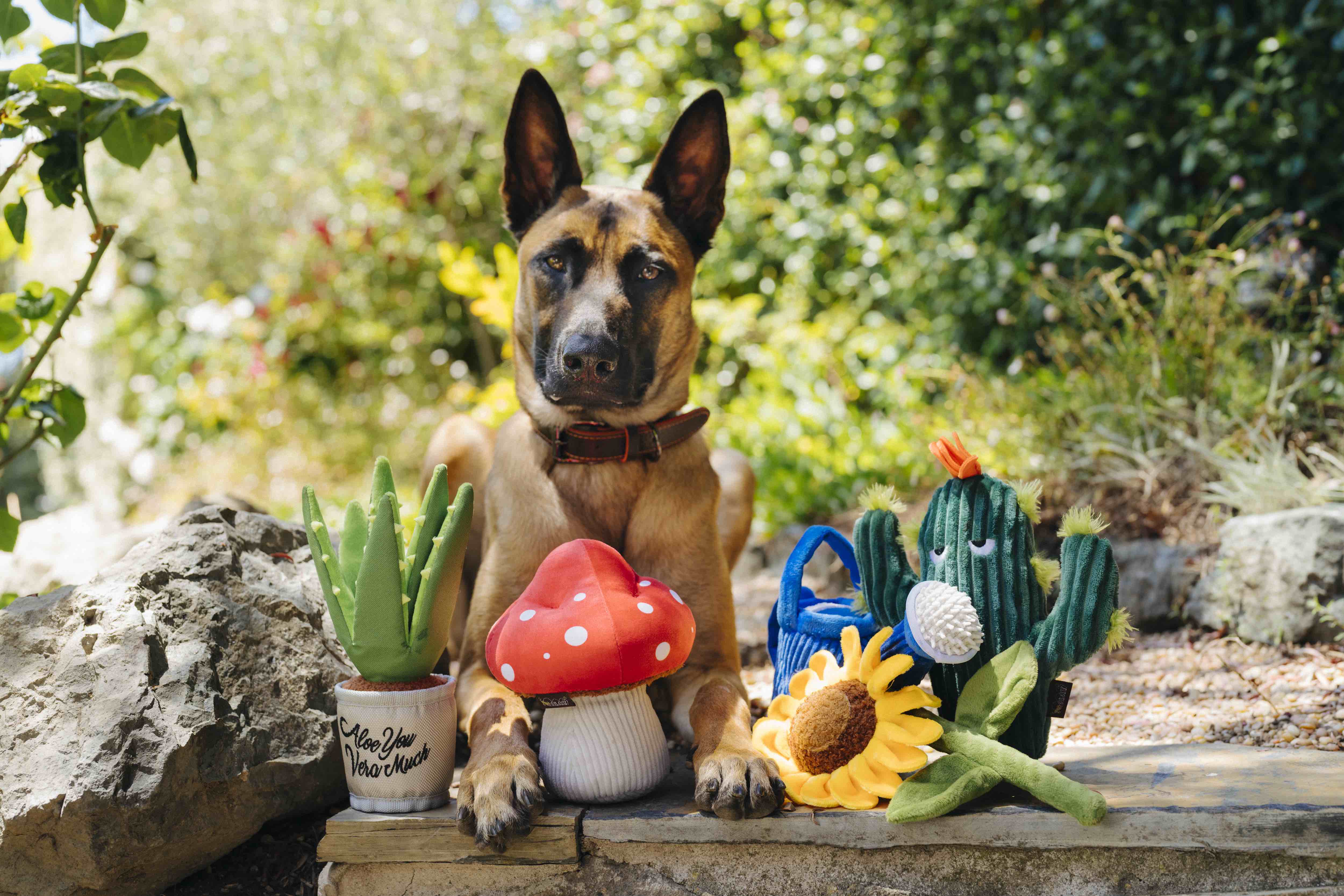 P.L.A.Y. Blooming Buddies Squeaky Plush Dog toys, Wagging Watering Can