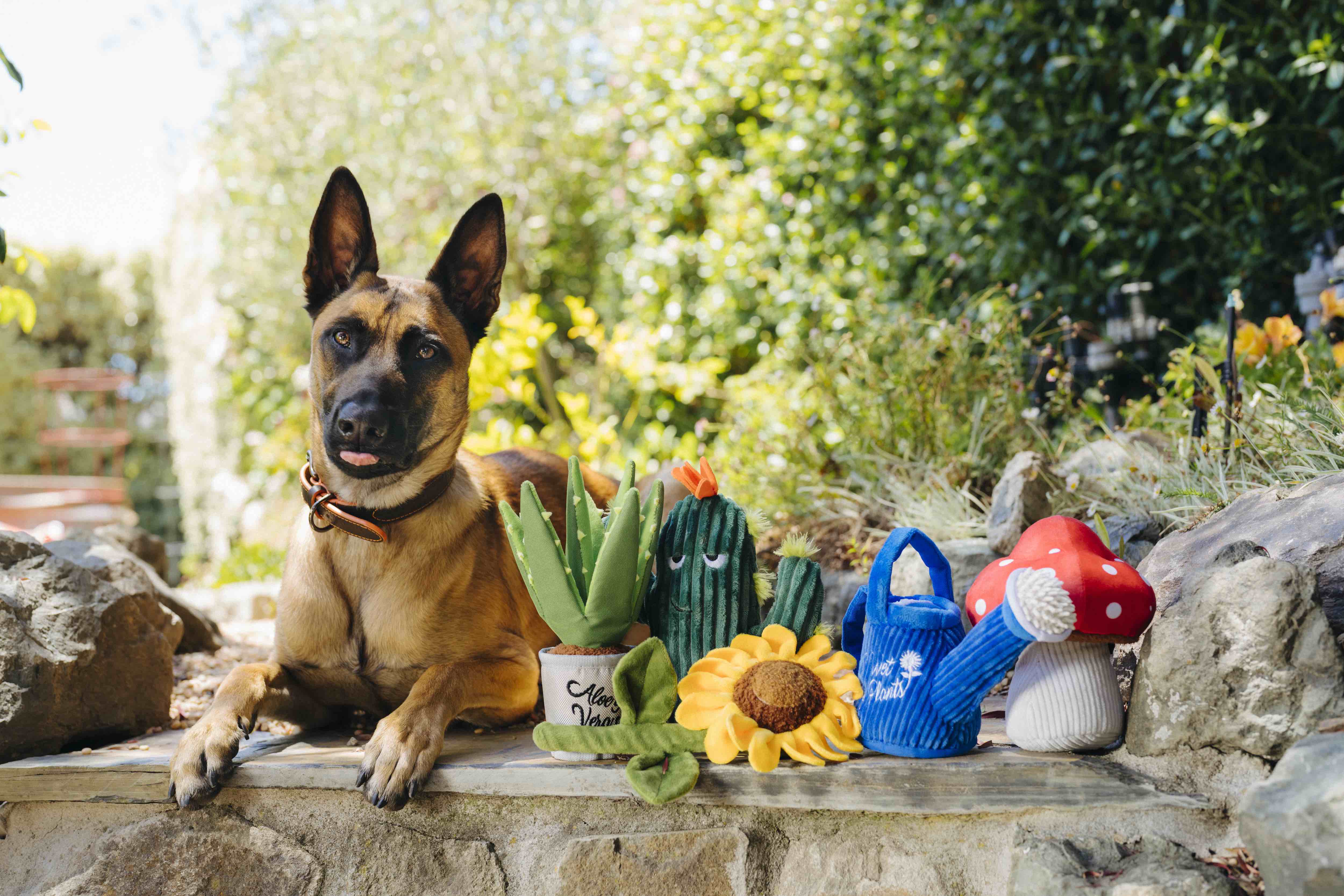 P.L.A.Y. Blooming Buddies Squeaky Plush Dog toys, Bundle