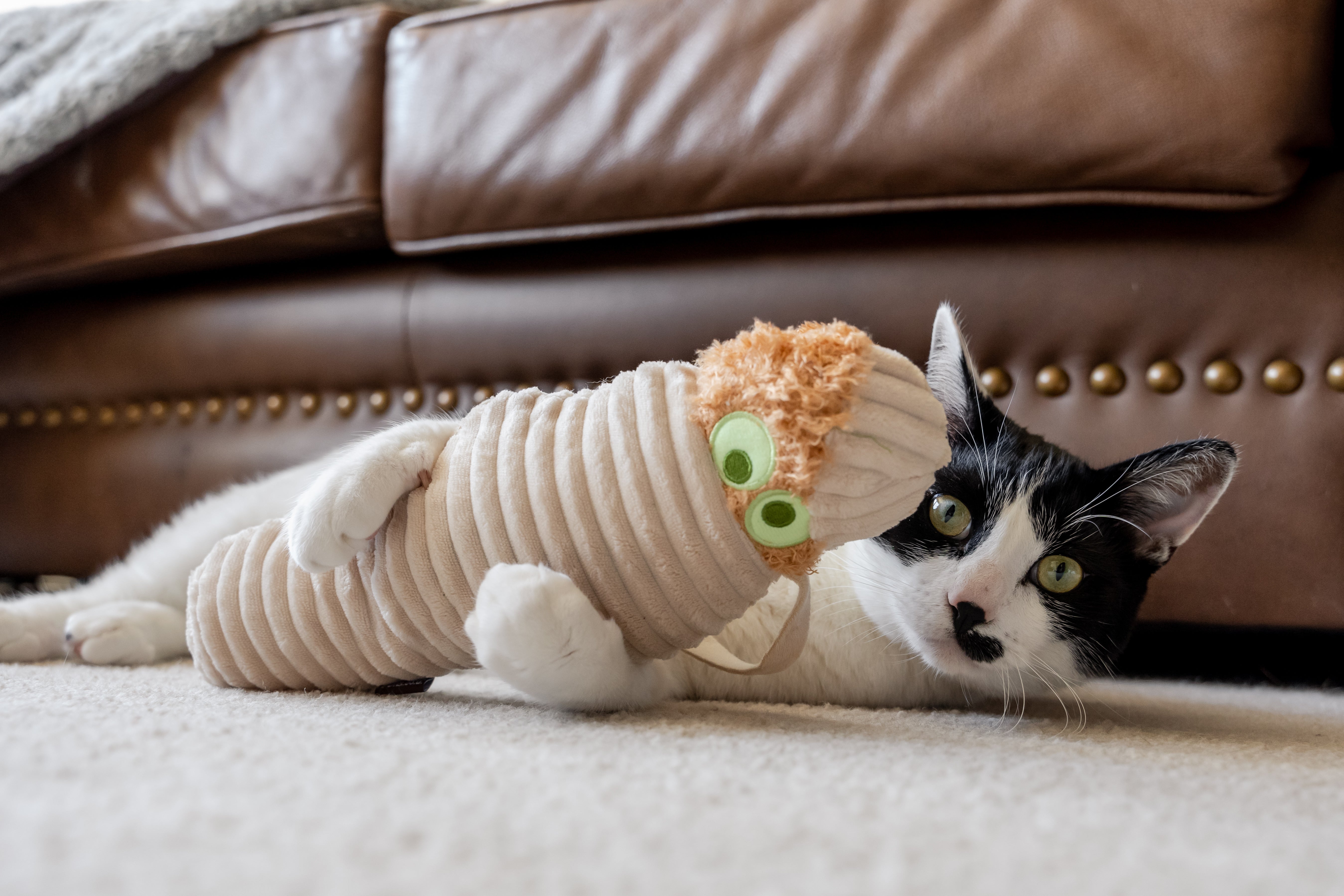 P.L.A.Y. Feline Frenzy, Catnip Kicker Toy set: Mummy