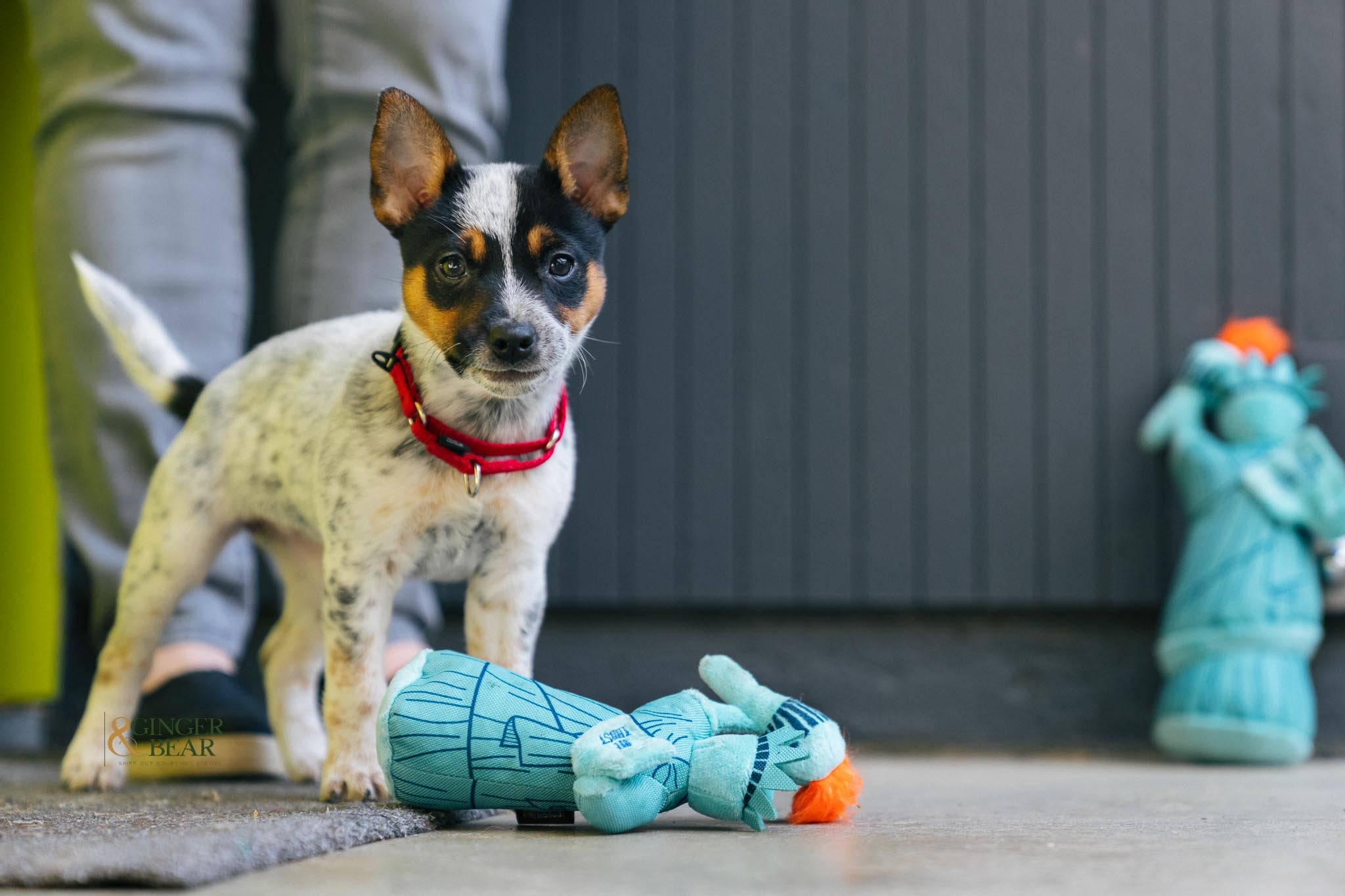 P.L.A.Y. Totally Touristy Squeaky Plush Dog toys, Statue of Liberty