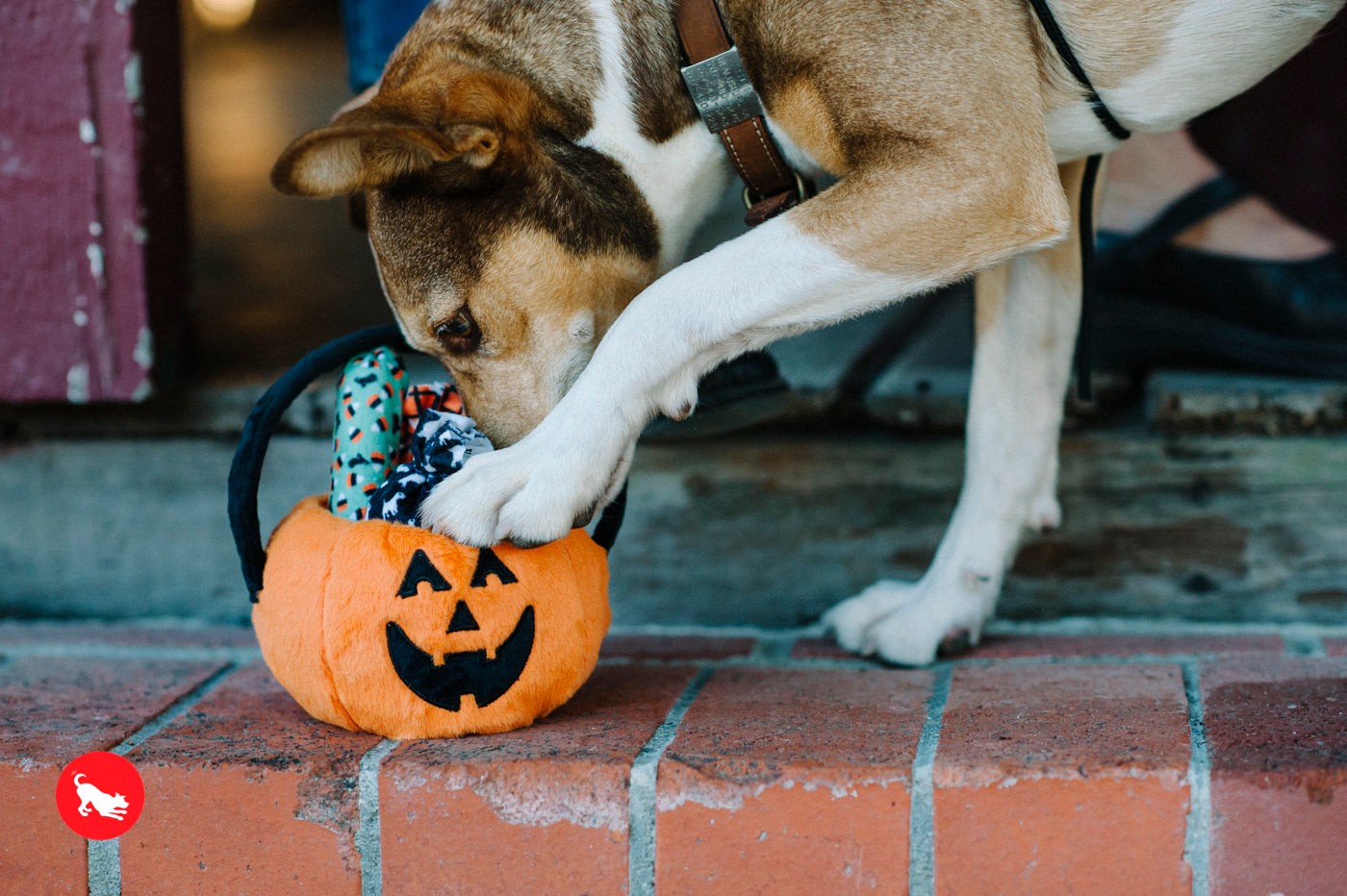 P.L.A.Y. Halloween Pumpkin Basket with Candies Plush Dog Toy