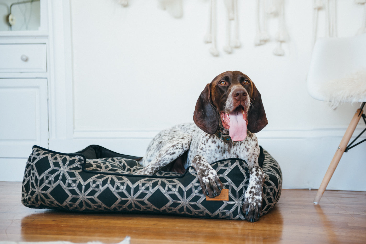 P.L.A.Y. Lounge Dog Bed Solstice Stormy Night 