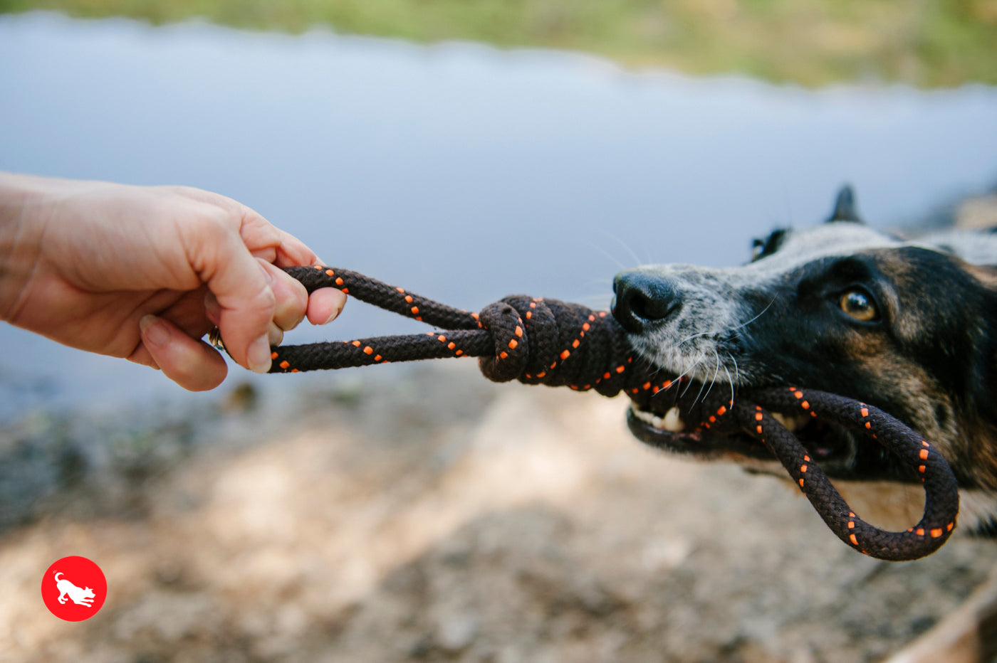 P.L.A.Y. Outdoor Collection Tug Rope Toy