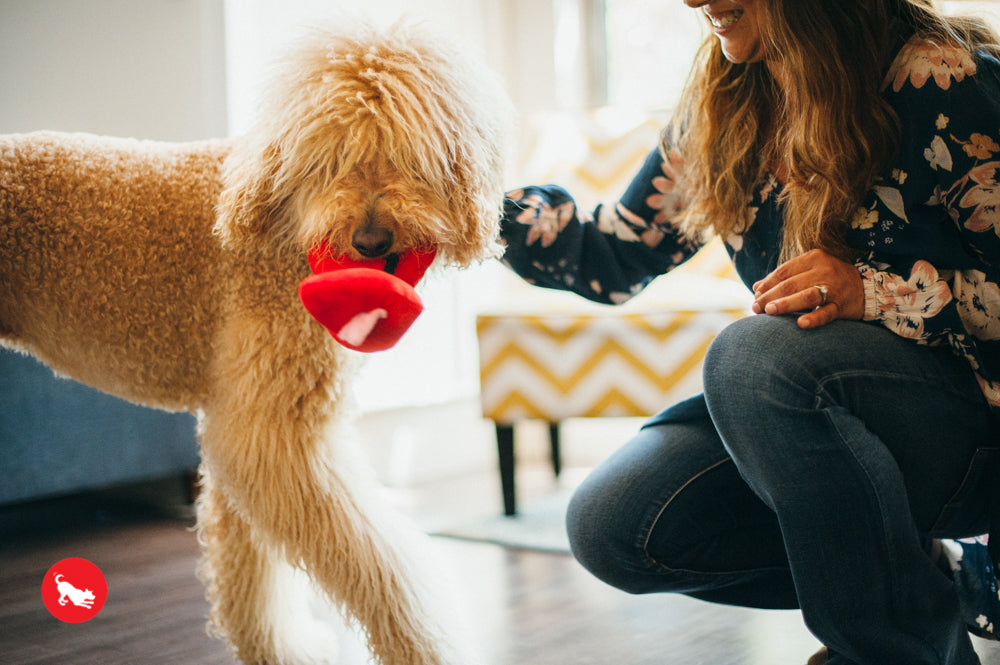 Puppy Love, Dog Squeaky Plush Toys, Rover's Roses