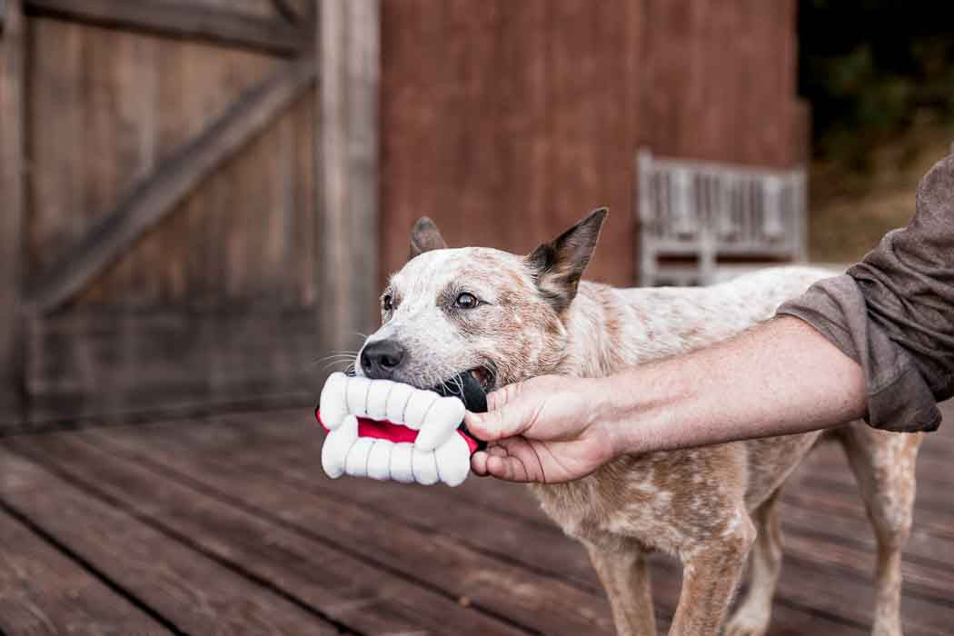 Howling Haunts Plush Dog toys